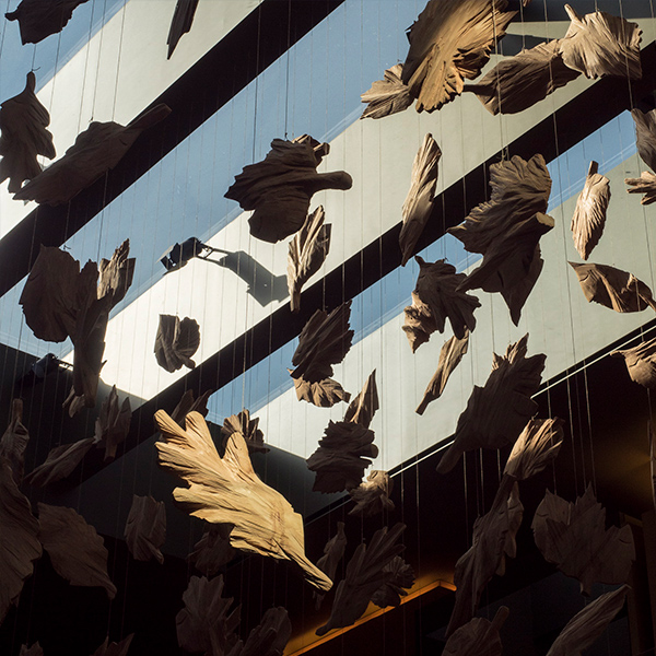 Green Wine Tour - Amarante - Image 2