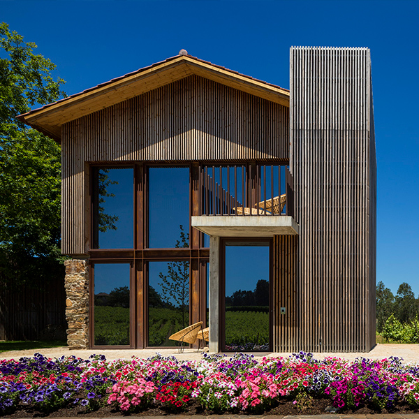 Green Wine Tour - Amarante - Image 3