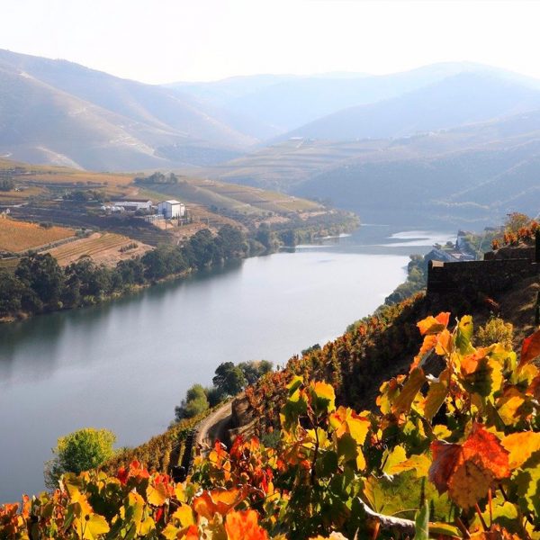 Tour Douro Património